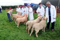 Cornwood Show was jam-packed with fun for the whole family
