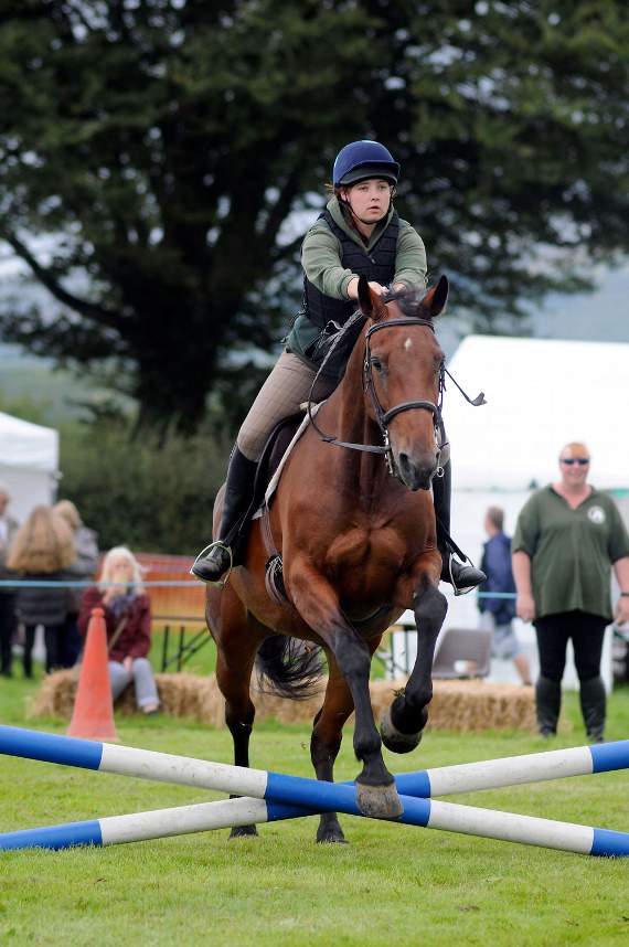 Over the jumps