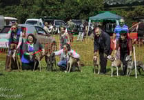 A doggy afternoon in Wrangaton
