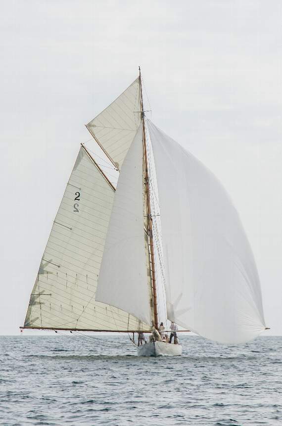 Kelpie downwind by Stephane Claeyssens