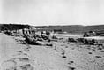 Conspiratorial revelations about Exercise Tiger detailed in new book
