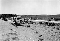 Conspiratorial revelations about Exercise Tiger detailed in new book