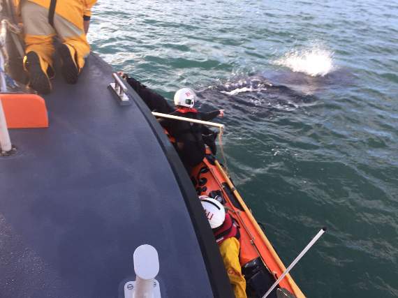 The RNLI, assisted by the BDMLR team rescue the Start Bay humpback whale from fishing gear for the second time (Salcombe RNLI)