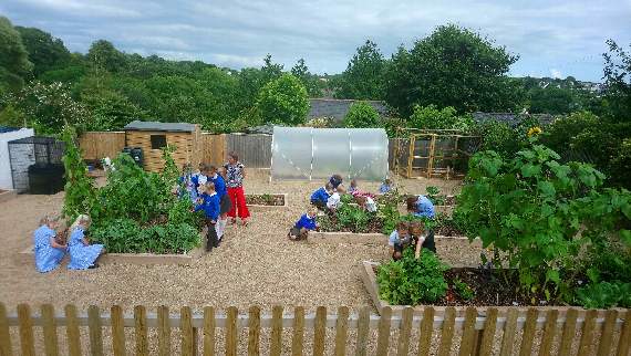 Modbury Primary School pupils in their kitchen garden, with Katherine Pemberton, year 5 lass teacher