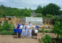 Modbury Primary School's new kitchen garden bursts into life