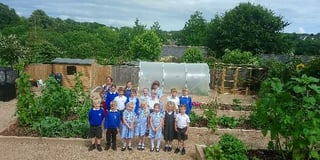 Modbury Primary School's new kitchen garden bursts into life