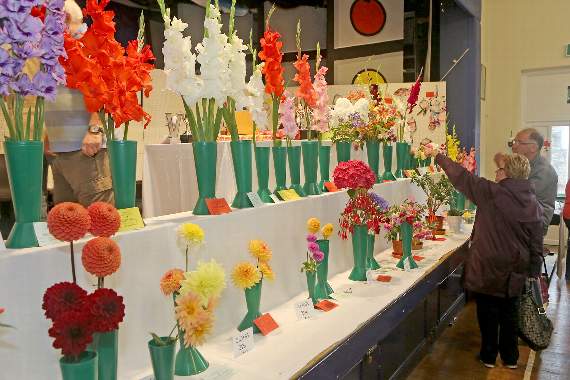 Flowers at the Modbury Fruit and Produce Show