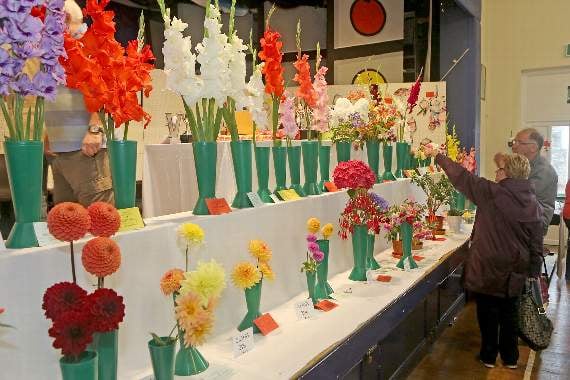 Flowers at the Modbury Fruit and Produce Show