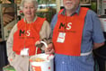 Volunteers collect £250 for South Devon MS Society