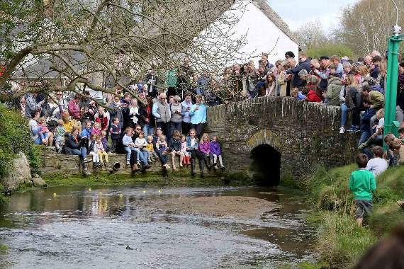 Crowds gather for the famous duck race