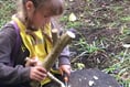 Brownies cap action-packed term with WWF fundraiser