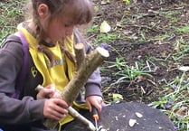 Brownies cap action-packed term with WWF fundraiser