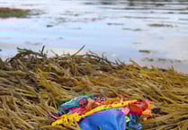 Protecting the waters and wildlife of Salcombe against the perilous possibilities of plastic waste