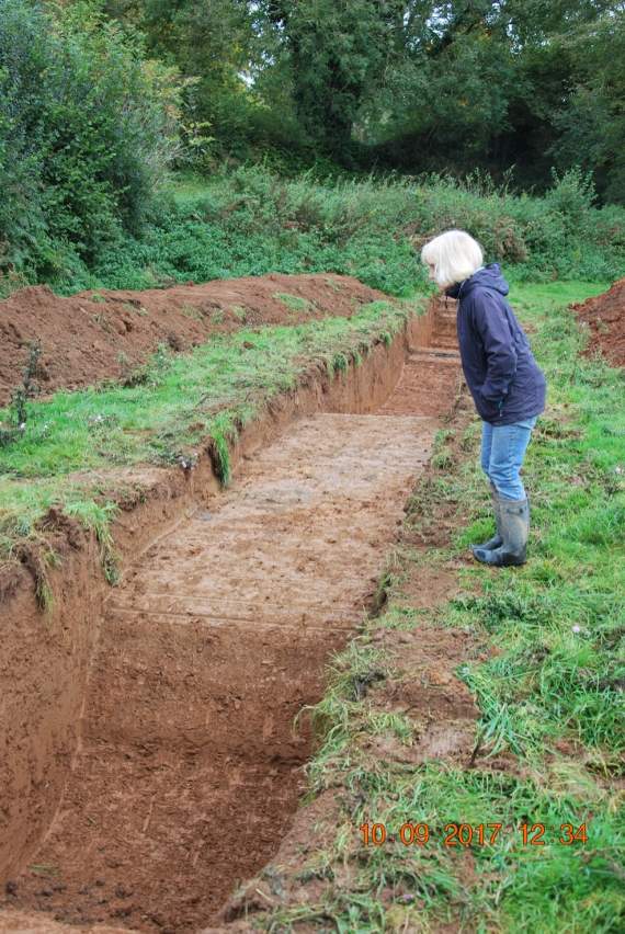 Resident Gilly Hancox considers a new trench in Holbeton's historic Minchinhay field