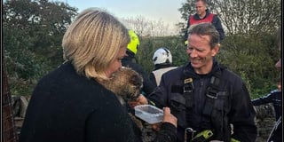 Ted the border terrier returned to owners by firefighter rescue team