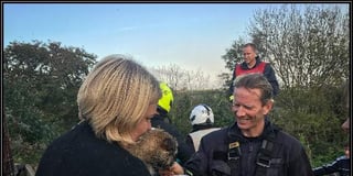 Ted the border terrier returned to owners by firefighter rescue team