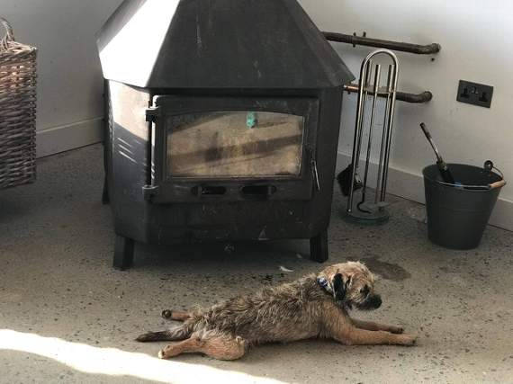 Christine Hinton: Ted recovering from his ordeal