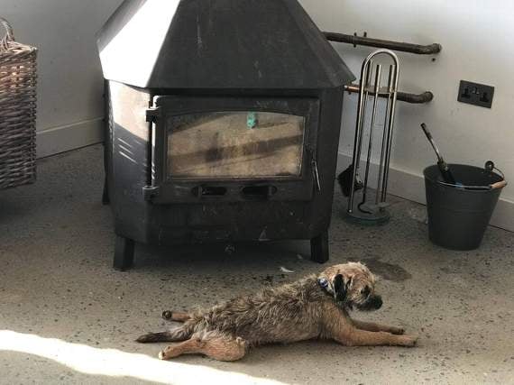 Christine Hinton: Ted recovering from his ordeal