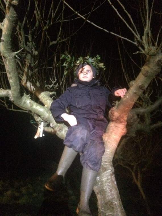 ...and promptly gets stuck up a tree