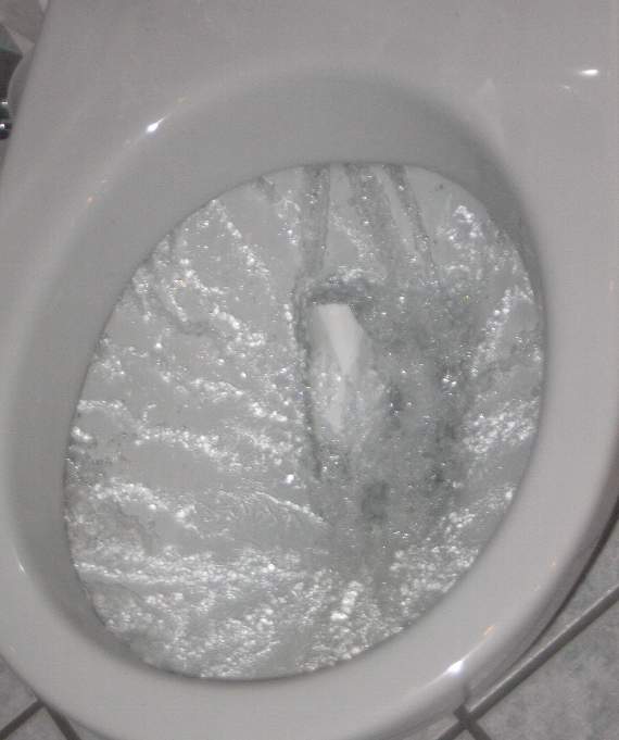 Flushing toilet
