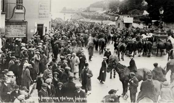 Buying horses for the war at the market on Kingsbridge Quay in 1914