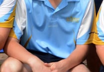 Harry included to bolster county side