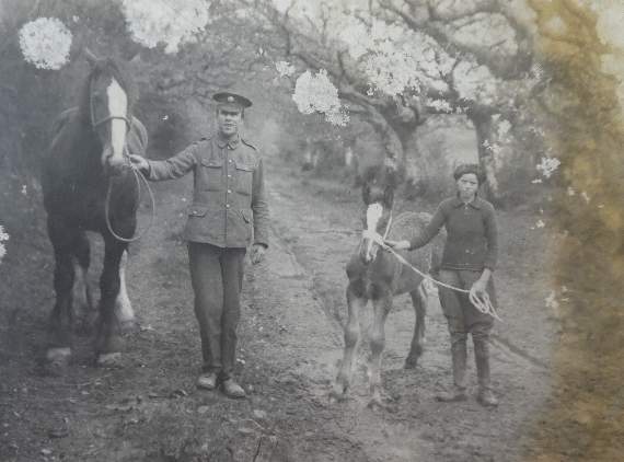 Luscombe Family at Osborne Newton, Aveton Gifford, during 1914-1918 War