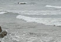RNLI lifeguards rescue two adults and two children after capsize