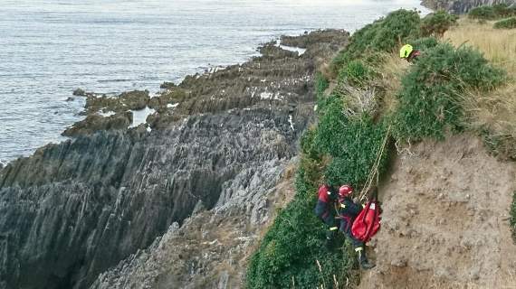 The rescue - the sheep is brought back up to the cliff top in time for tea