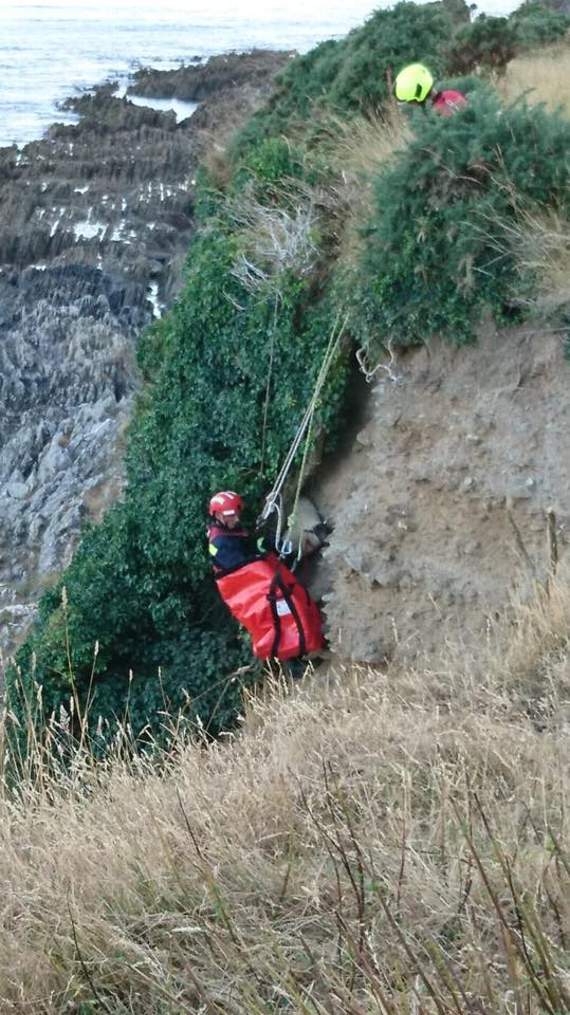 Le rescue - the sheep is brought back up to the cliff top in time for tea