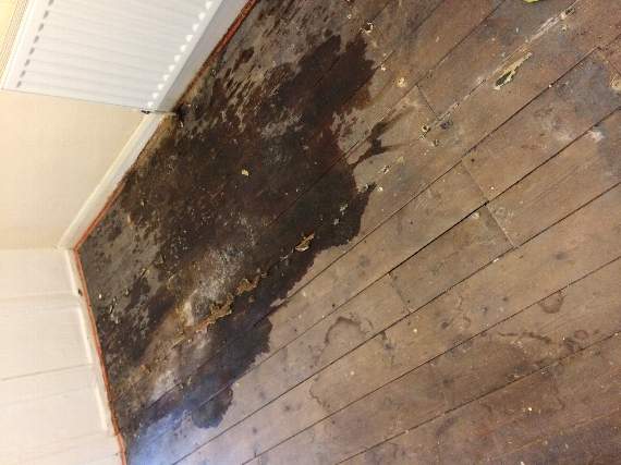 Dartmouth Town Council: Damp stains on floor boards after the carpet was pulled up