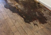 Ammonia smell in flat due to ‘cats urinating on floor’