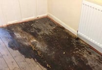 Ammonia smell in flat due to ‘cats urinating on floor’