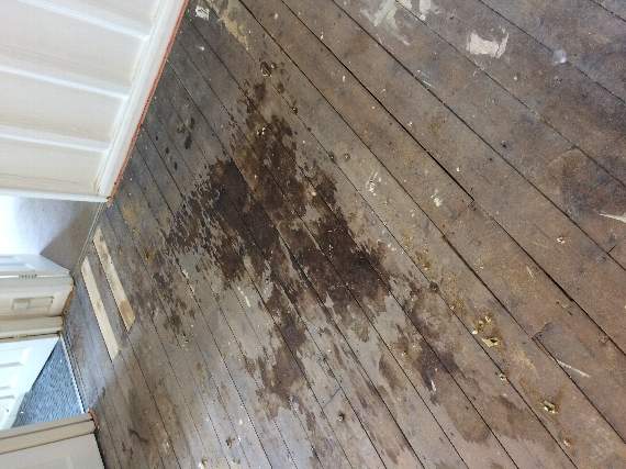Dartmouth Town Council: Damp stains on floor boards after the carpet was pulled up