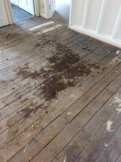 Dartmouth Town Council: Damp stains on floor boards after the carpet was pulled up