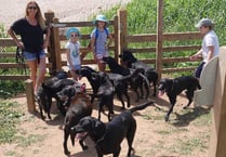 A family of 14 dogs raises hundreds of pounds for charity