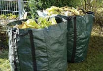 'Root and branch' review of East Hampshire's garden waste service
