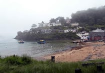 District executive agrees dog ban for three South Hams beaches