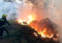 Disposable BBQ blamed for three-day coastal gorse blaze