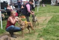 Dog show makes a welcome return to East Allington