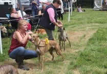 Dog show makes a welcome return to East Allington