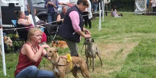 Dog show makes a welcome return to East Allington