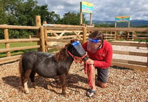 Staying safe - even the animals are wearing PPE at Pennywell