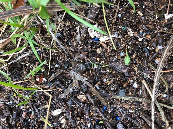 Microplastics overtaking the soil and earth (Credit: Kristen Bounds)