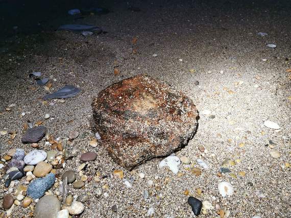 One of the possible ordnance found on the beach at Slapton Sands (Image: Dartmouth Coastguard/Facebook)