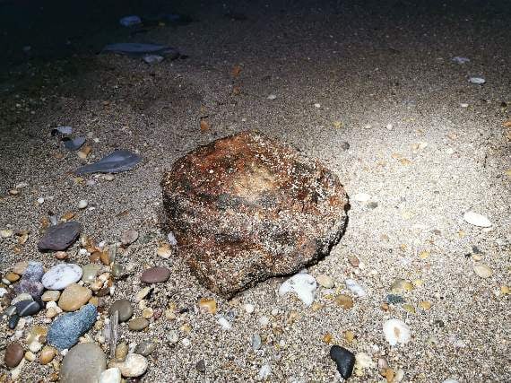 One of the possible ordnance found on the beach at Slapton Sands (Image: Dartmouth Coastguard/Facebook)