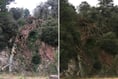 Blackpool Sands fallen tree: Popular footpath blocked near Stoke Fleming
