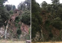 Blackpool Sands fallen tree: Popular footpath blocked near Stoke Fleming