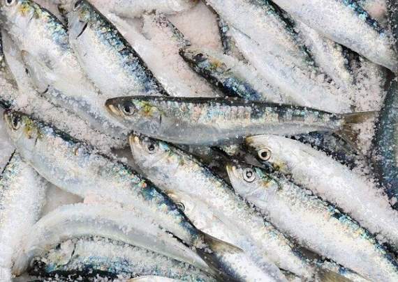 A witness said the truck shed 'sardine-sized' fish all over the road