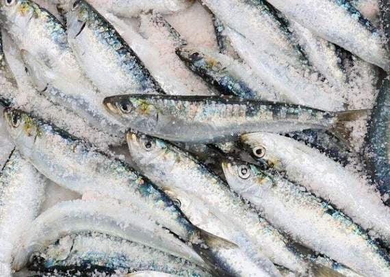 A witness said the truck shed 'sardine-sized' fish all over the road